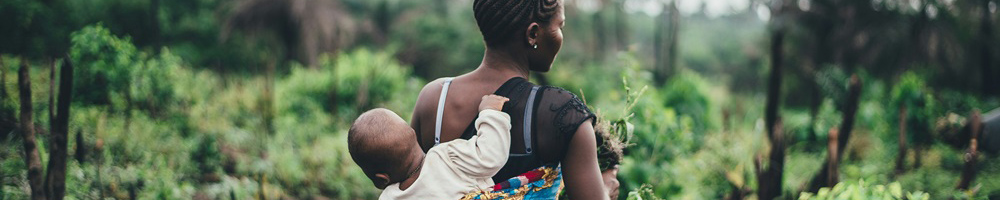 #nivoslider-RTZka-38-caption-1